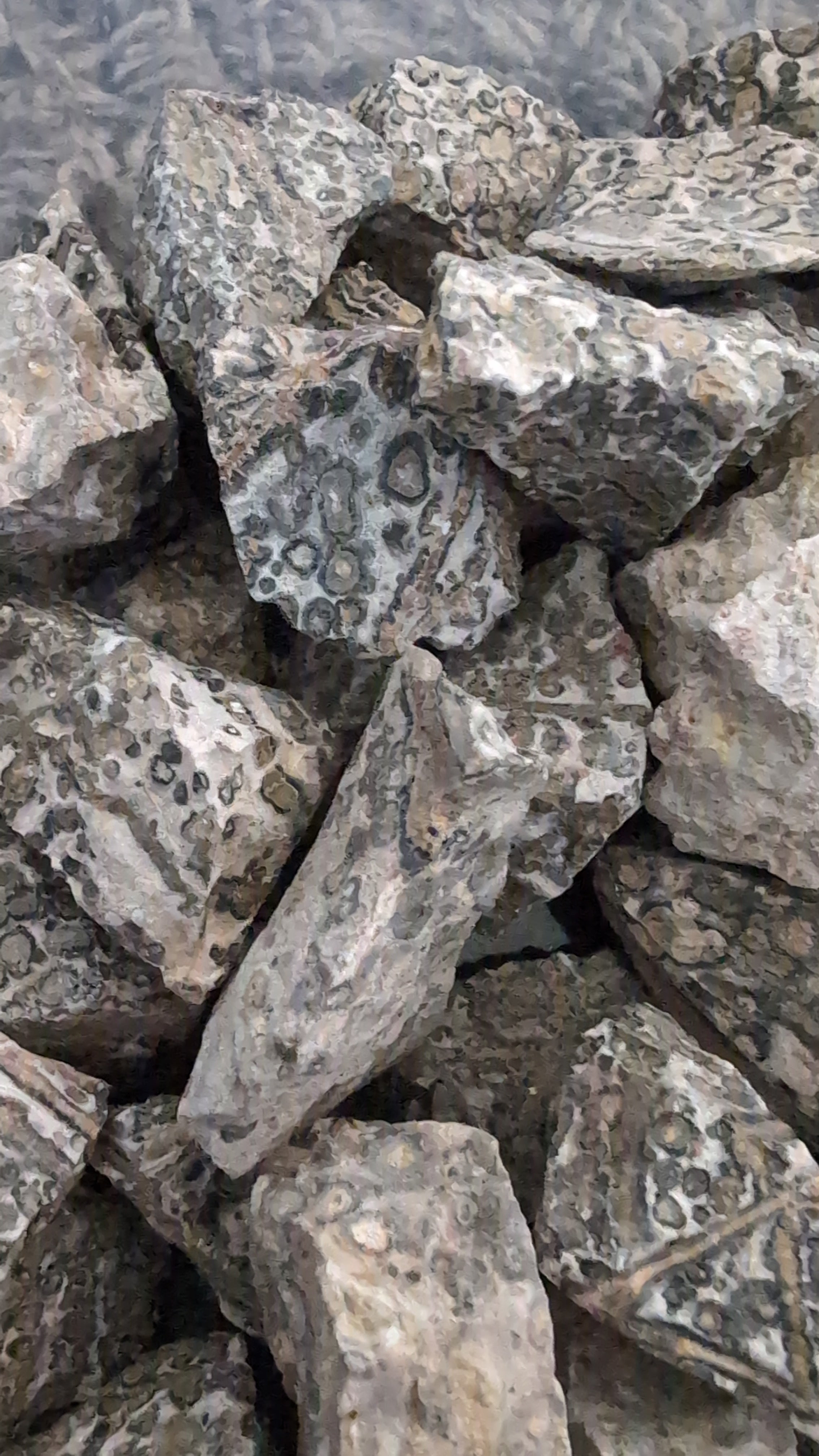 Leopard skin jasper