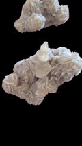Desert Rose