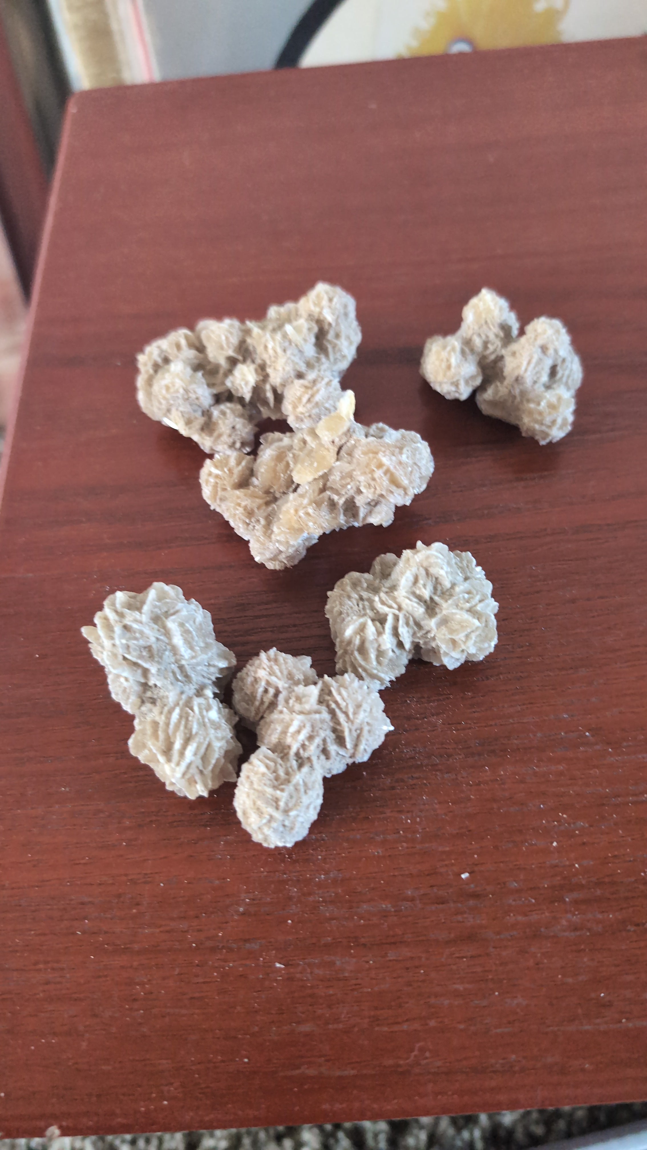 Desert Rose