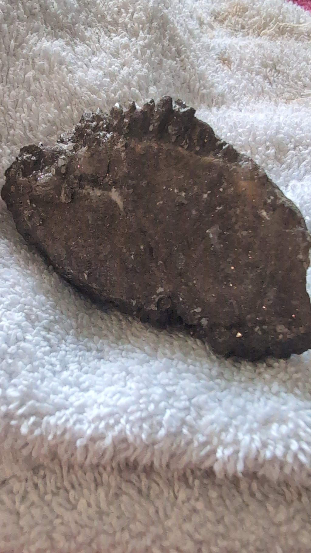 Dawgtooth calcite