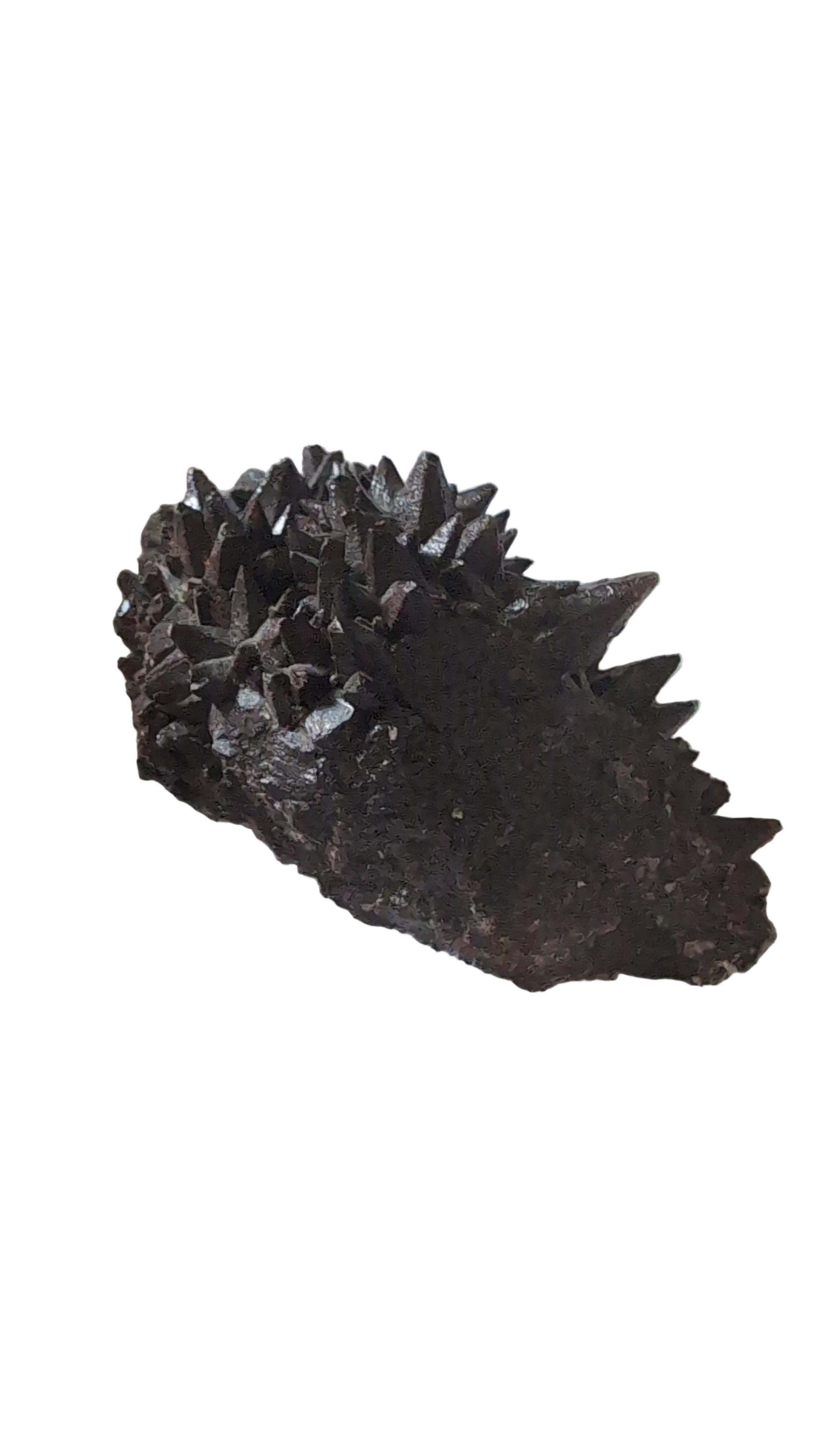 Dawgtooth calcite