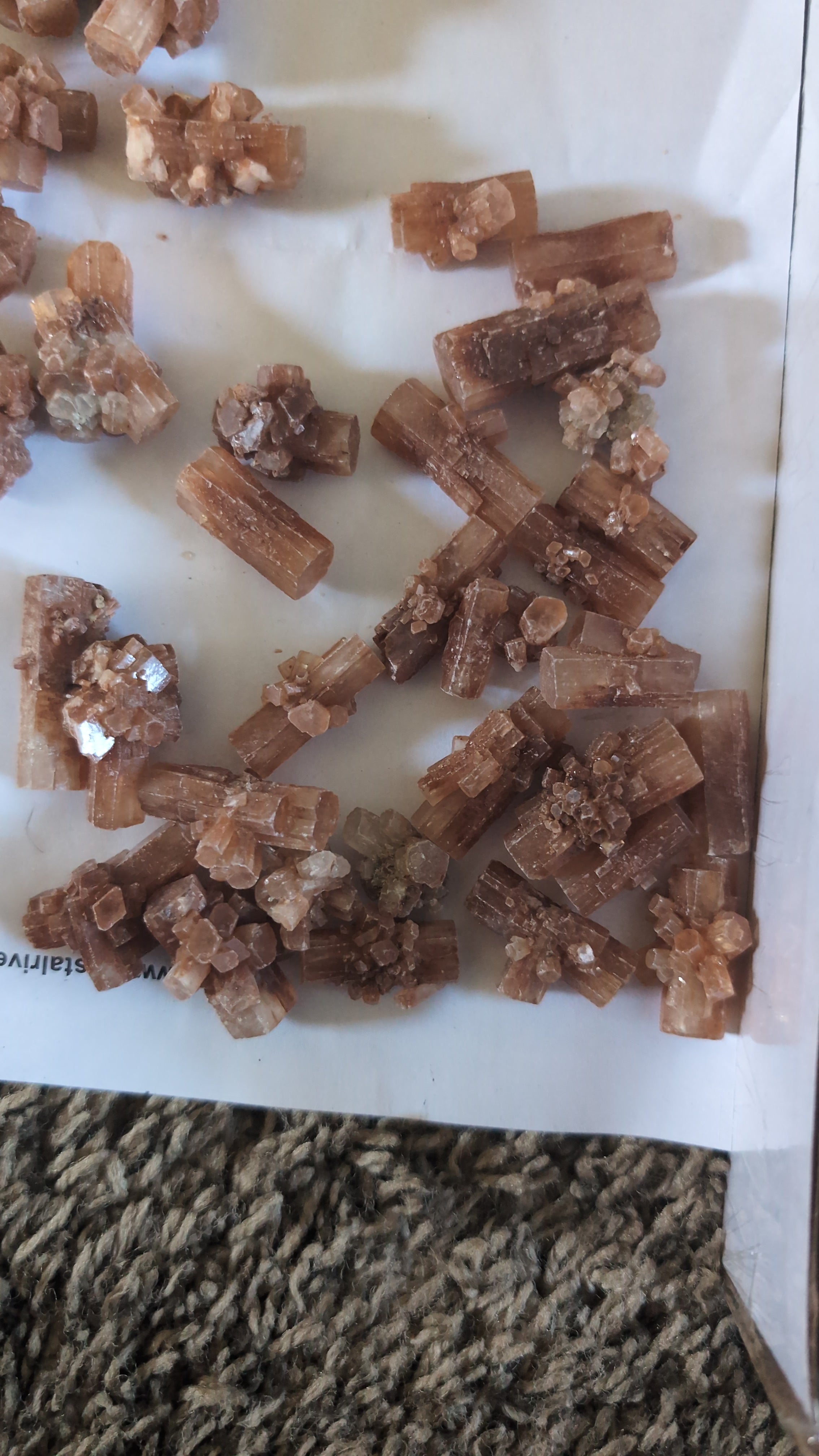 Aragonite