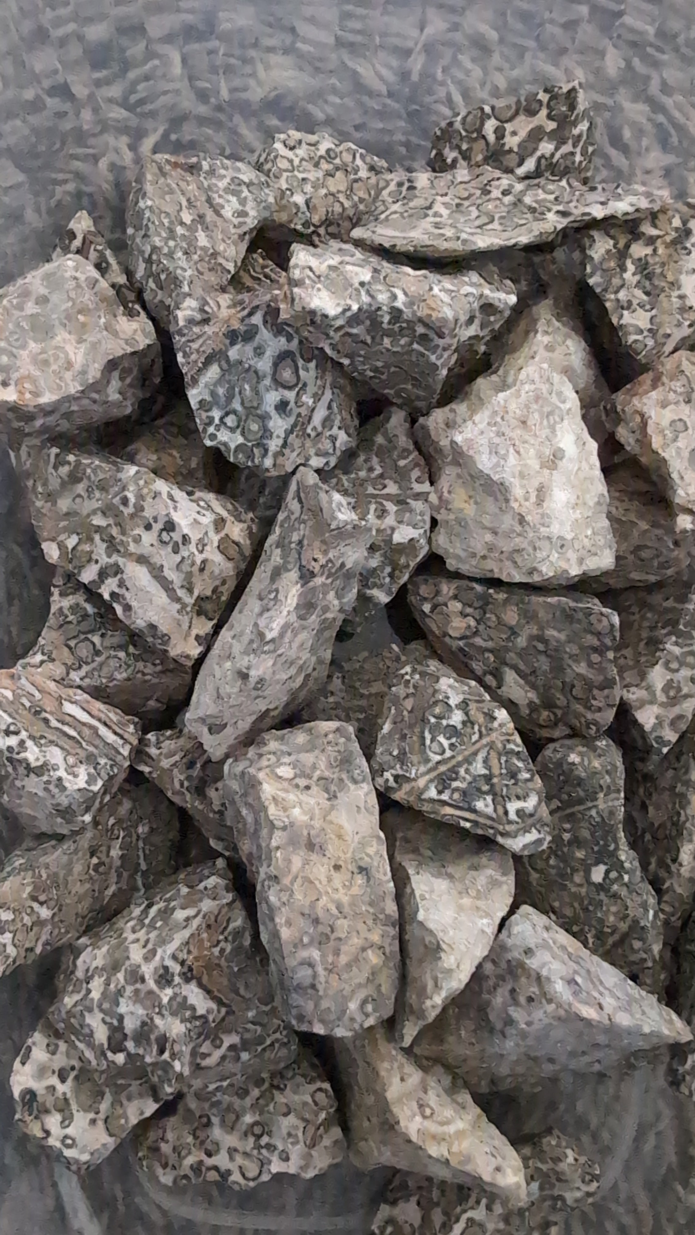 Leopard skin jasper